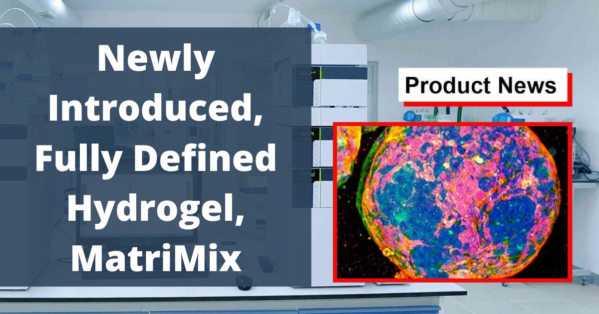 LabX's tweet photo. The new MatriMix hydrogel from @ams_bio enables researchers to obtain highly reproducible results. https://t.co/IMsSk8ZIk9 https://t.co/ZjFONRNPoY