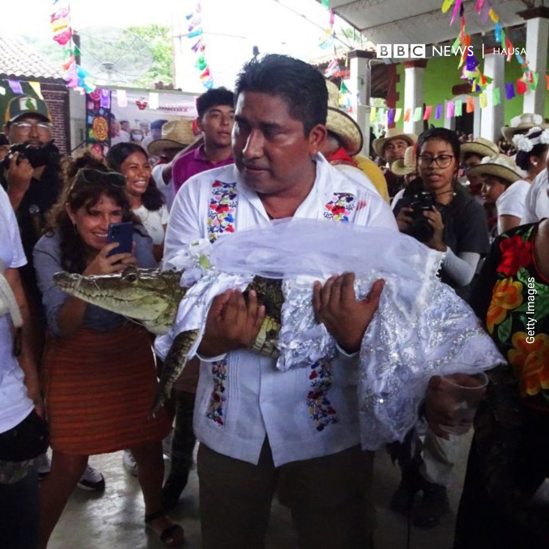 bbchausa's tweet photo. Ga mutumin da ya auri kada 

Victor Hugo Sosa, magajin garin San Pedro Huamelula a ƙasar Mexico, ya auri kadar ce don ɗabbaka tsohuwar al'ada.

 Mutanen garin sun yi imanin cewa aure tsakanin mutum da kadan zai kawo alkairai kamar damuna mai albarka da kyakkyawan amfanin gona. https://t.co/rxmBGsGZup