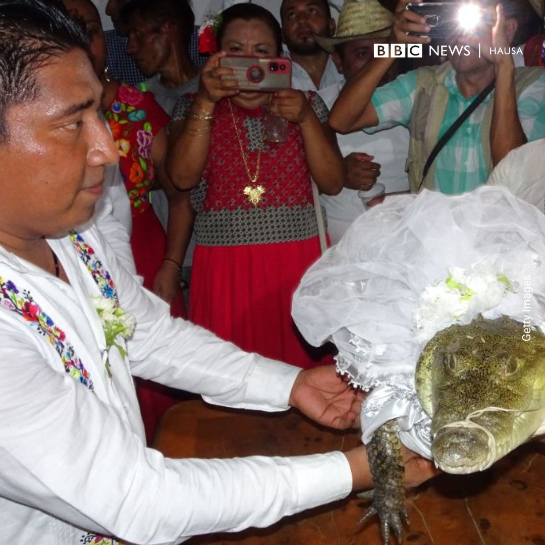 bbchausa's tweet photo. Ga mutumin da ya auri kada 

Victor Hugo Sosa, magajin garin San Pedro Huamelula a ƙasar Mexico, ya auri kadar ce don ɗabbaka tsohuwar al'ada.

 Mutanen garin sun yi imanin cewa aure tsakanin mutum da kadan zai kawo alkairai kamar damuna mai albarka da kyakkyawan amfanin gona. https://t.co/rxmBGsGZup