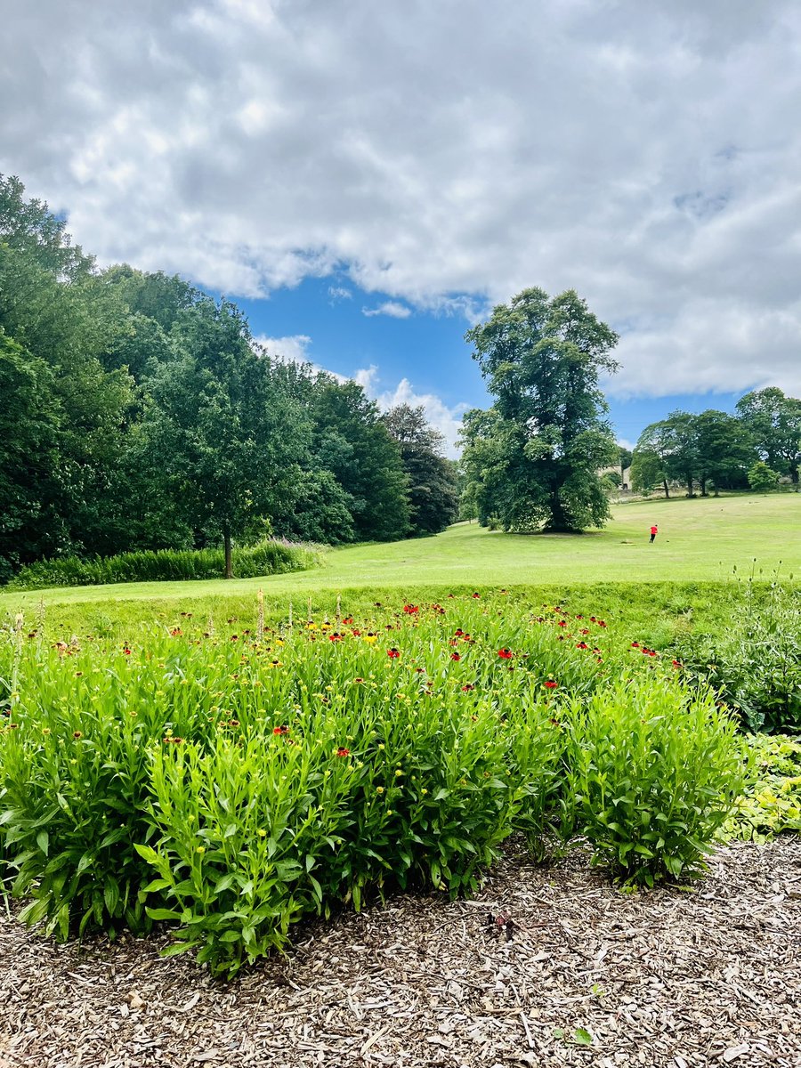 MrsOleary1814's tweet photo. Get outside! Family time at Shibden Hall and Park β
οΈπ±π #FamilyTime #Sunday #ThreeWeeksToGo #CountdownToSummer #NewBeginnings #PasturesNew https://t.co/ggKjTW1nEg