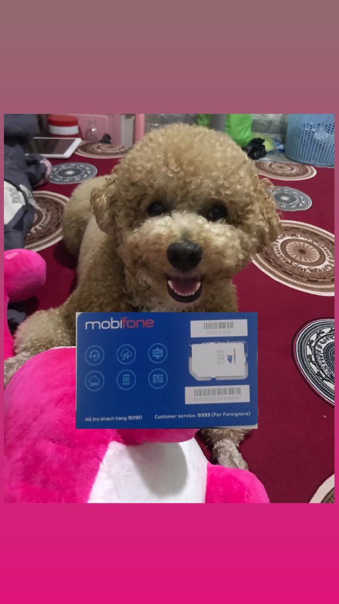 dtran__98's tweet photo. Mẹ cháu kiếm xiền mua pate cho cháu nên ngoi lên đăng bán sim và gói cước 4G #mobifone. Cô chí anh chụ nào có nhu cầu liên hệ mẹ cháu nhaaaaa 😘 https://t.co/fzcnBOzWL1