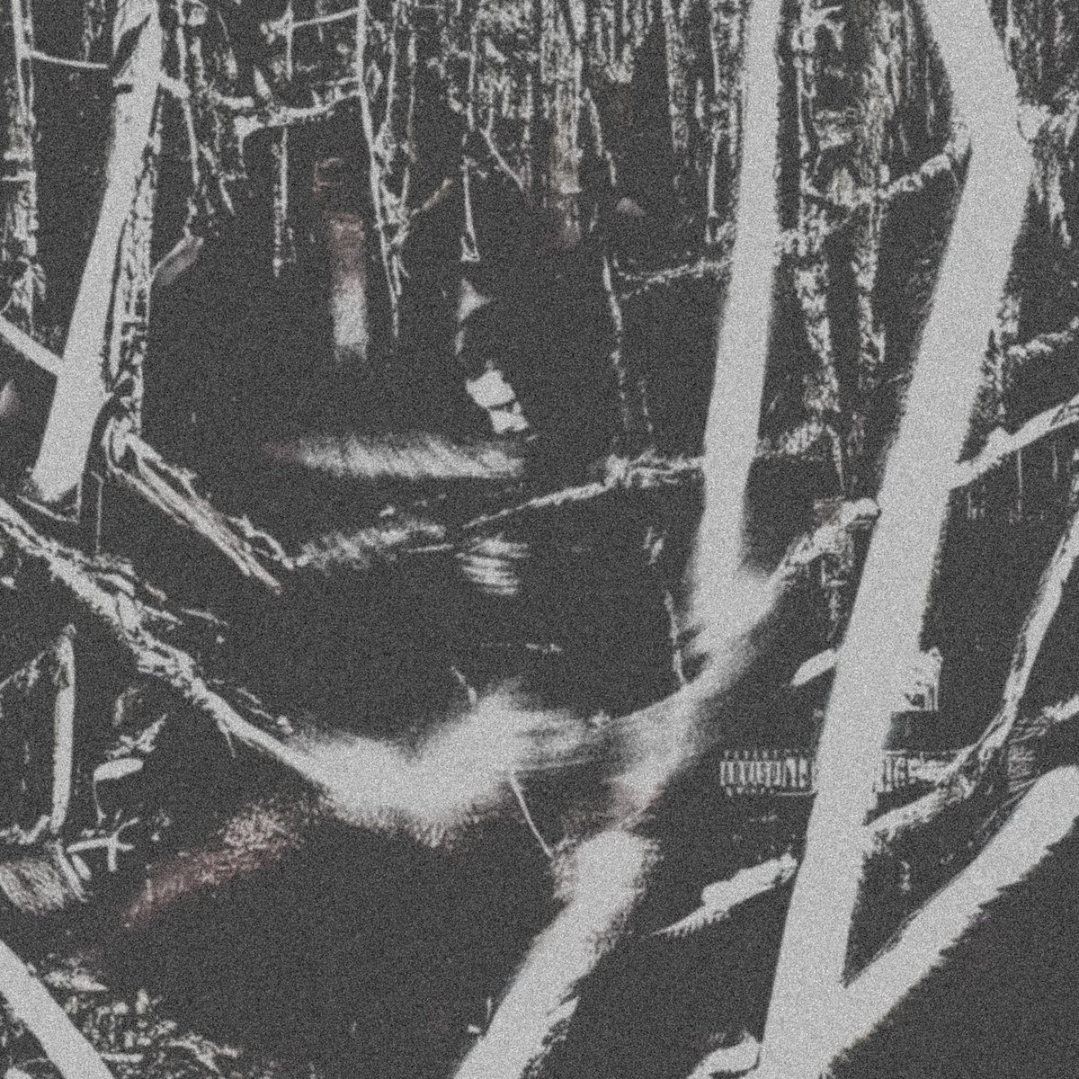 New EP Out Now - “Black Swan”

Stream All Platforms 🏴‍☠️🏴‍☠️🏴‍☠️ Run Me Up

fanlink.to/blackSwan
