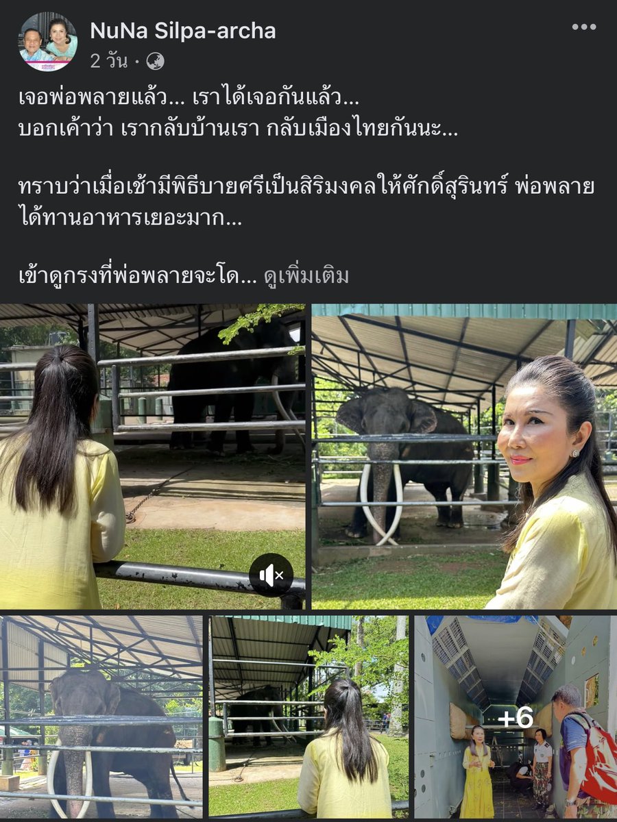 wangtunggaw's tweet photo. #พลายศักดิ์สุรินทร์ คนที่ควรให้เครดิตเรื่องนี้มากๆๆๆๆ เลย คือ 2 ท่านนี้ในตระกูล #ศิลปอาชา เขาทำเงียบๆของเขา ทำในวันที่ทั้งประเทศไปจับจ้องโฟกัสนักการเมืองหิว..หาแสงในสนามวอลเลย์.. https://t.co/CEJ67Hvdqv