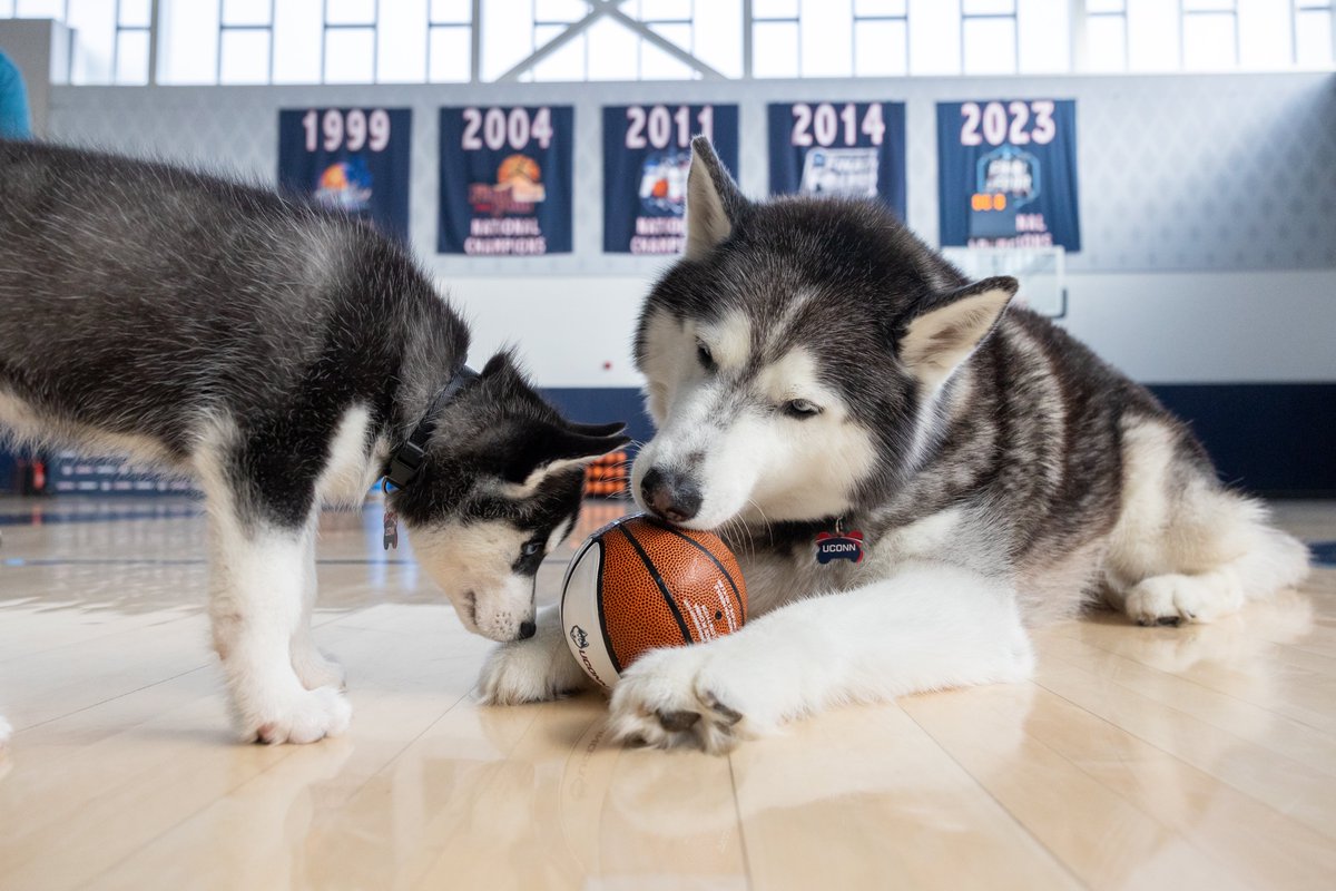 UConn tweet media