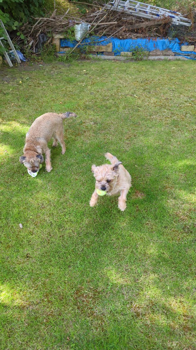 Mum and Dad have gone away for the weekend without us so oldest hoobruv and his girlfriend are looking after us. They’re fab!