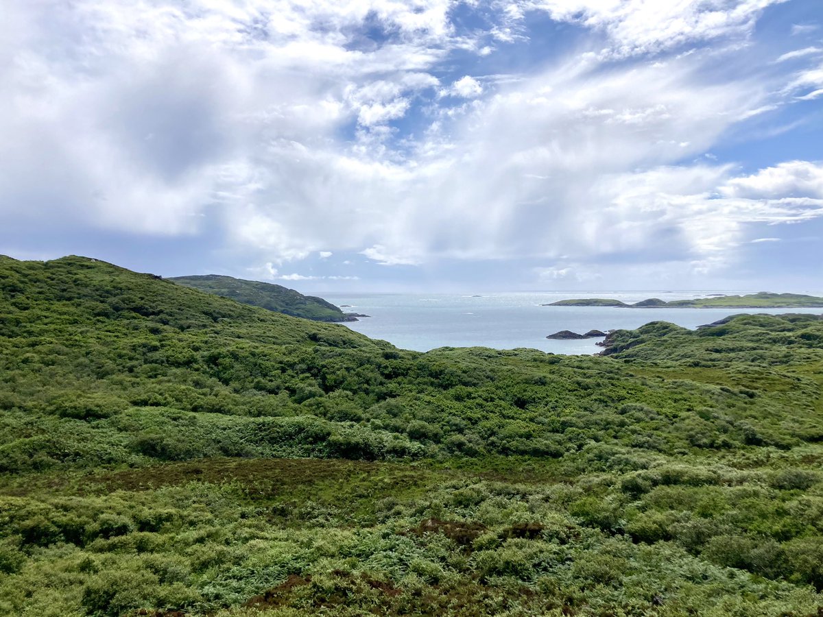 HughRaven's tweet photo. The #RossofMull is remarkable, culturally historic & naturally blessed. Among its special places is the beautiful 625-ha Tireragan reserve, ungrazed for a generation and bursting back into life, its Traigh Gheal beach the best of white Hebridean shell sand
https://t.co/UyXr2zrvXK https://t.co/ldc9T2STnm
