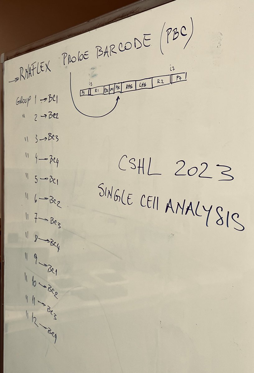 Luciano Martelotto 🛠🧬💻🇦🇺 (@lgmartelotto) on Twitter photo Some fun happening at <a href="/cshlmeetings/">CSHL Meetings</a> 2023 Single Cell Analysis Course
<a href="/10xGenomics/">10x Genomics</a> #nocellleftbehind #fixmeacell Some fun happening at <a href="/cshlmeetings/">CSHL Meetings</a> 2023 Single Cell Analysis Course
<a href="/10xGenomics/">10x Genomics</a> #nocellleftbehind #fixmeacell