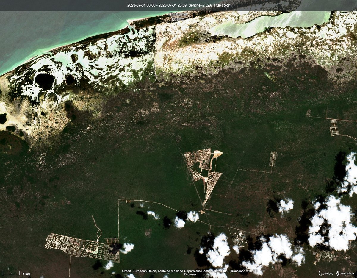 eit1mx's tweet photo. 1 de julio de 2023.
Así se sigue depredando la poca selva que tiene #Yucatán.
Lotes de inversión, los desarrollos inmobiliarios en el estado no tienen algún control.
La imagen es de Sentinel-2. https://t.co/01vch9M6o3