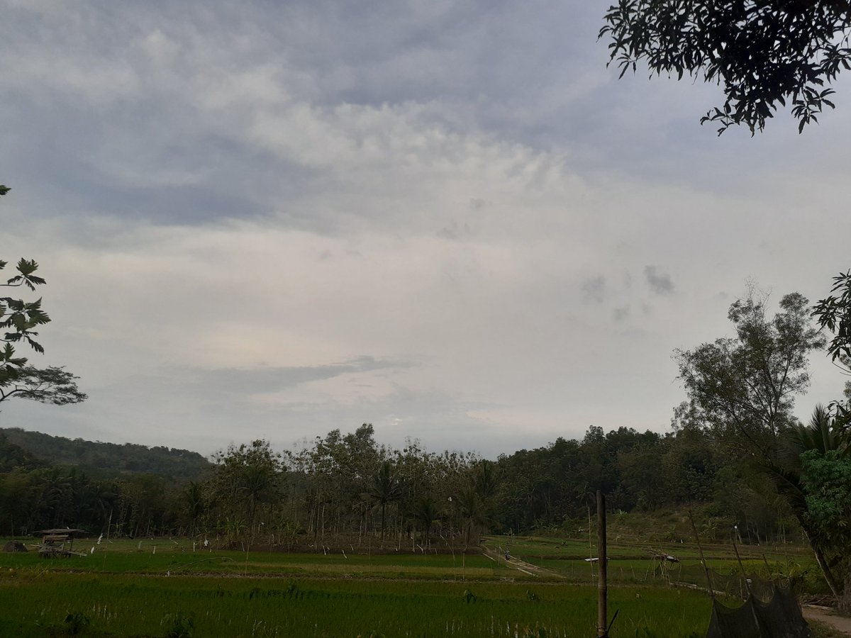 ksooo01's tweet photo. The scene of field https://t.co/RzV7rsFRPm