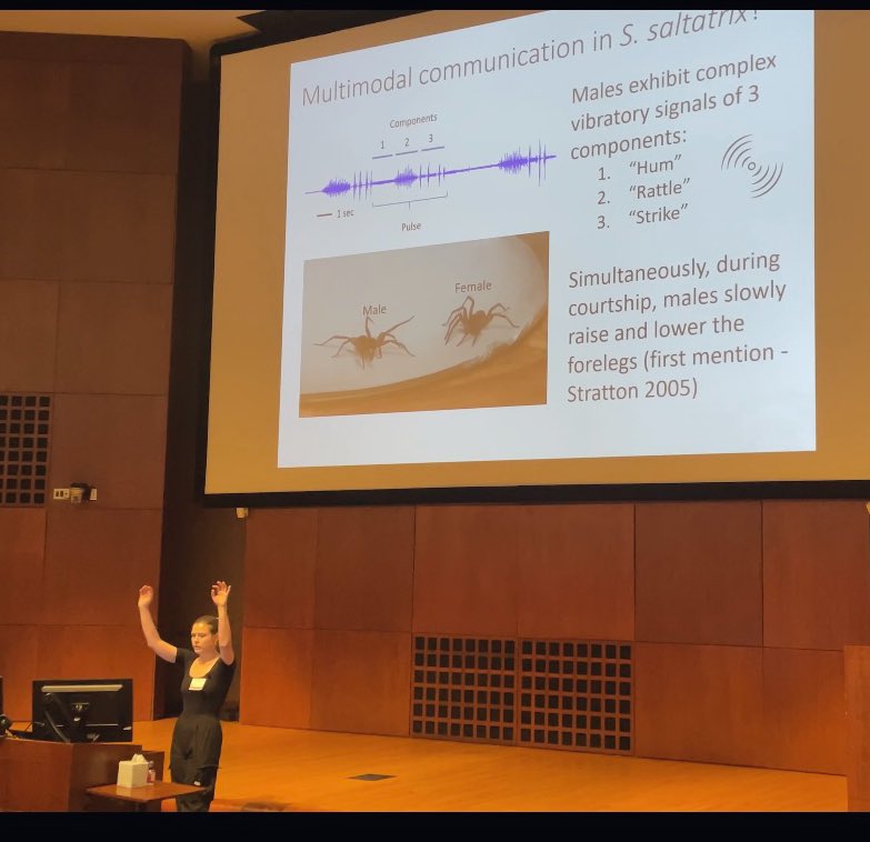 Olivia Bauer-Nilsen tweet media