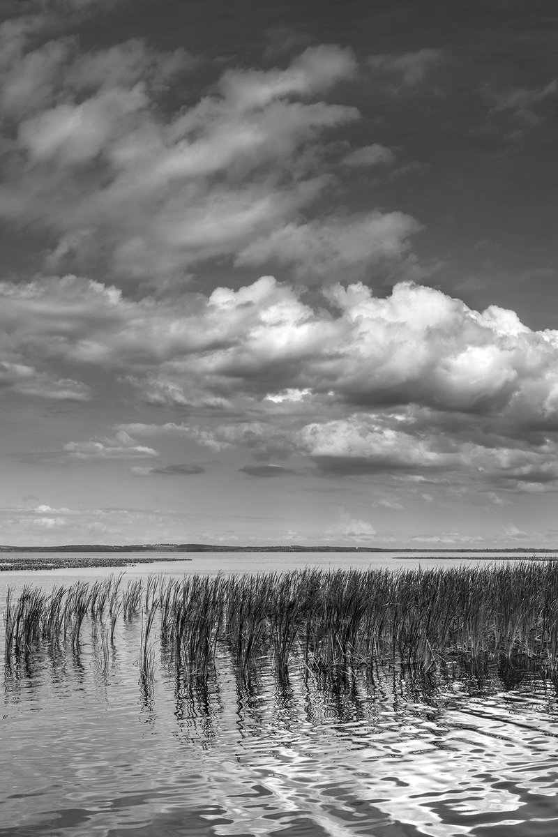 TMSkyHumPhoto's tweet image. Florida skies. #blackandwhitephotography #landscapephotography #photograghy