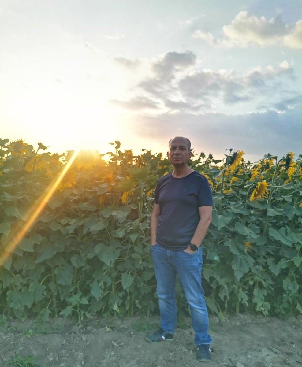 Güneşi sevdiği halde, adı ayçiçeği konan çiçek kadar yanlış anlaşıldık bu hayatta.