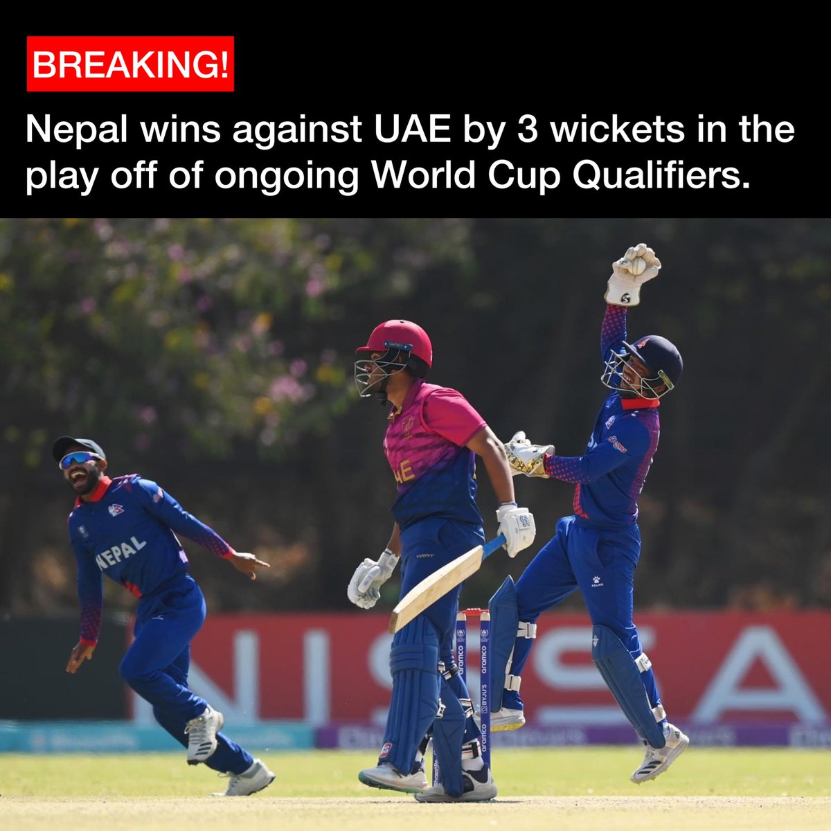 NoNext_Question's tweet photo. BREAKING: In a dramatic match, Nepal has won against UAE by 3 wickets in the play off of ongoing World Cup Qualifiers 2023.
Let’s take a moment to appreciate Dipendra Singh Airee and Sandeep Lamichhane for playing crucial game. Amazingly played 🫡🙇
#NepalvsUAE #icc #nnq https://t.co/x8DFvGeuYU