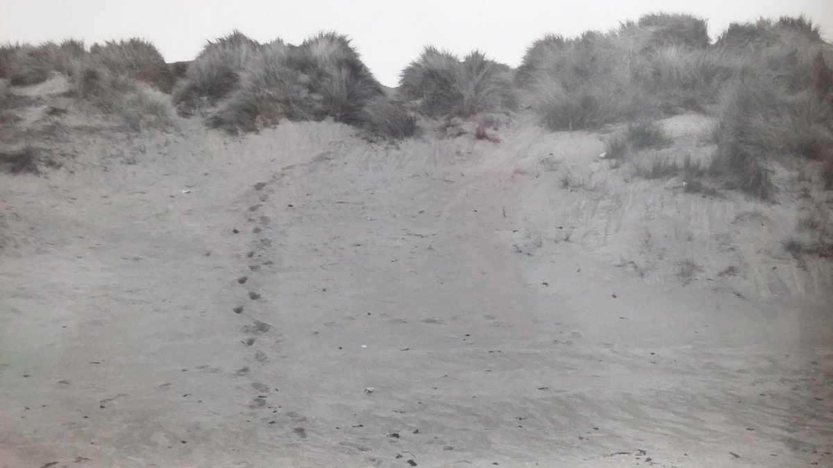 Crash course in 35mm SLR photography.JULY 15 11-4 PM . Learn essential skills and theory needed to create black and white silver gelatin prints. Covers camera skills, film processing and silver gelatin printing. £85/75 concs. Chemicals and paper included.  Alison.day54@gmail.com