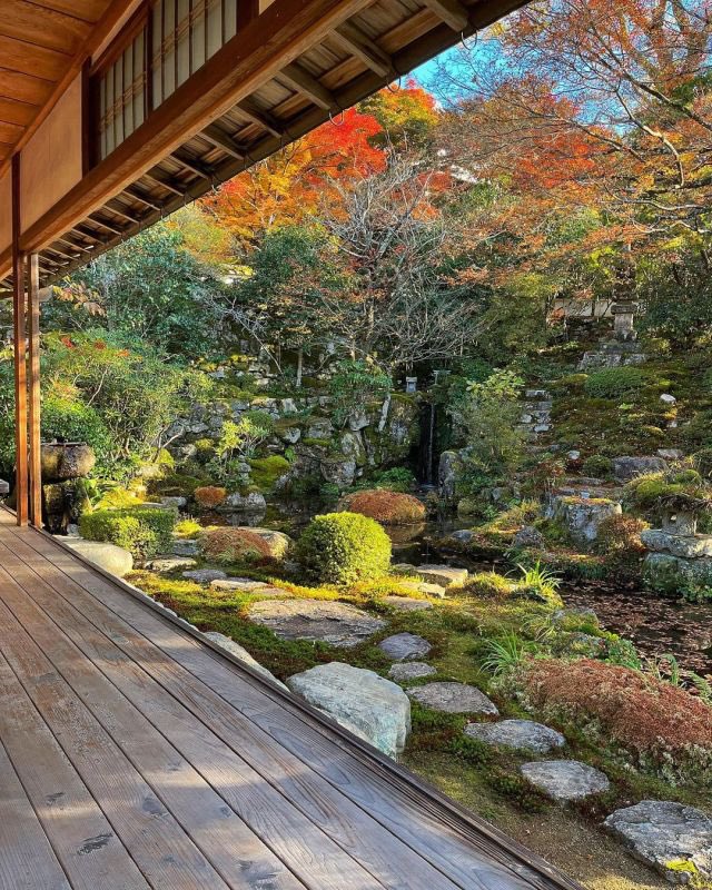 hopegrown's tweet photo. Sunday Zen🌿 https://t.co/aUY4b095gX