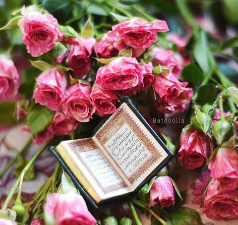 taekwond_alamin's tweet photo. I am the follower of @SZakzakyOffice Ibrahim Zakzaky (H), the leader of the Islamic movement, I condemn this terrible act against the Holy Quran, those who committed it and we call for immediate punishment.
#oppecial_taekwond_alamin #DownSweden #Kitabullah #quranburning #Quran https://t.co/owZqD8eC6b