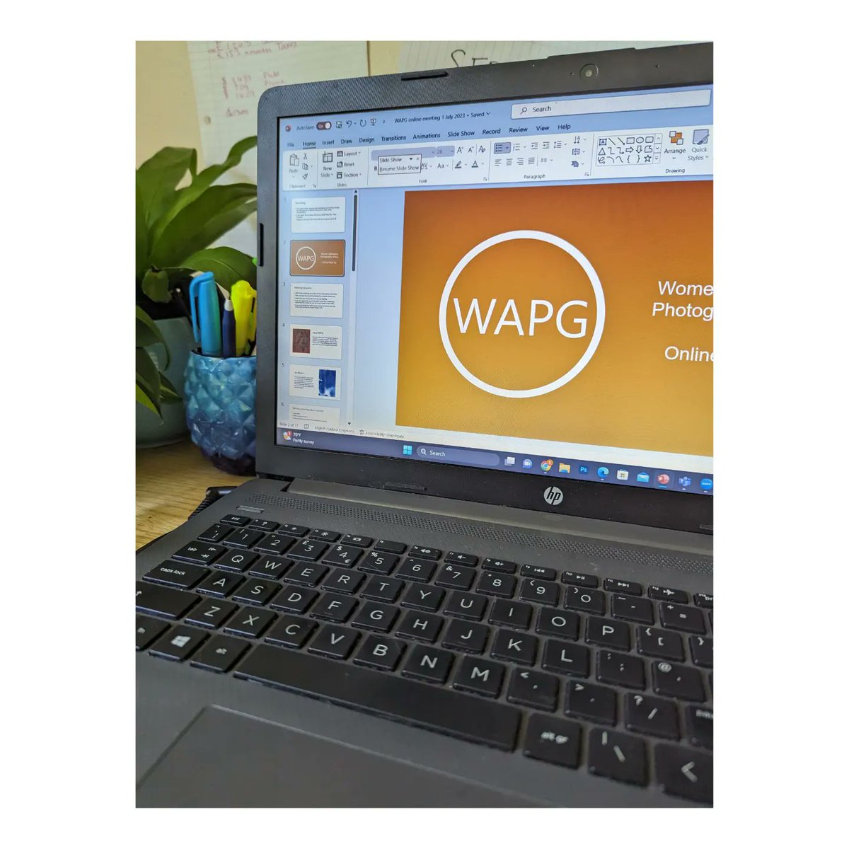 Elizabeth Ransom tweet media