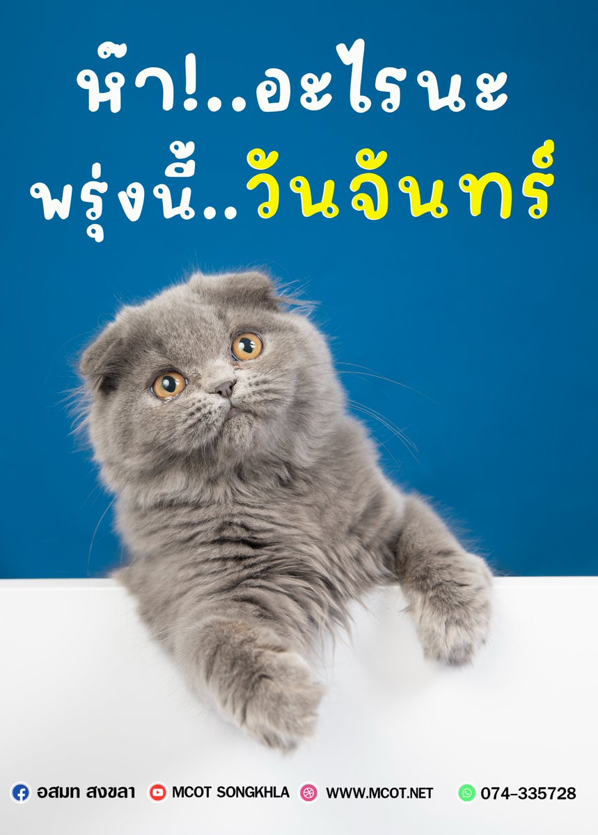 modern965's tweet photo. พรุ่งนี้....วันจันทร์ 📷📷 https://t.co/2DoDDIyeCv