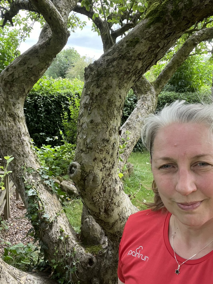 C25k week 6 run 2 for <a href="/runningpunks/">Running Punks</a> #vrc and #legendarypunks <a href="/RunATWorld/">Run Around The World</a> My gnarly old apple tree 💜