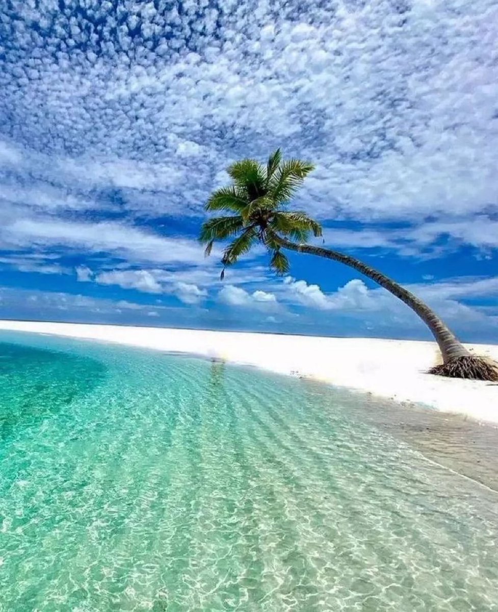 viewsoff's tweet photo. Paradise in Maldives. https://t.co/yVLZNiqMmb