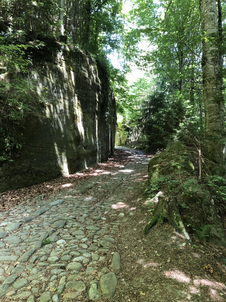 alpe2000ch's tweet photo. Balade sur un tronçon de la Via Jacobi sur le chemin de Compostelle. Etape 13 Schwarzenburg-Fribourg. Descente dans les gorges de la Singine sur un chemin d’époque. https://t.co/zvHRfKzzH5