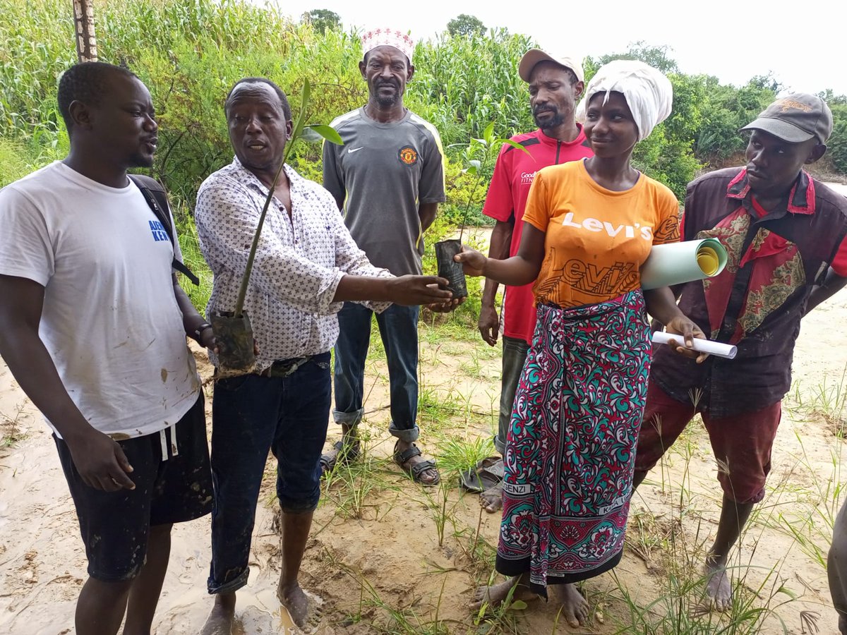 AjendaKenya's tweet photo. In a bid to protect the Marine Ecosystem along Mtwapa Creek in Mdengerekeni we planted 660 mangrove trees together with the local community. The initiative aims at Greening the Creek to aid in the increase of biodiversity. https://t.co/VwPMvyjO9C