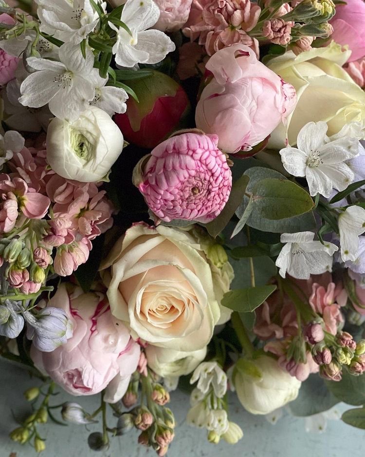 fromkyahseyes's tweet photo. Flowers + books &amp; coffee🌷📖☕️—what a girl wants. https://t.co/0QaL36JG5C