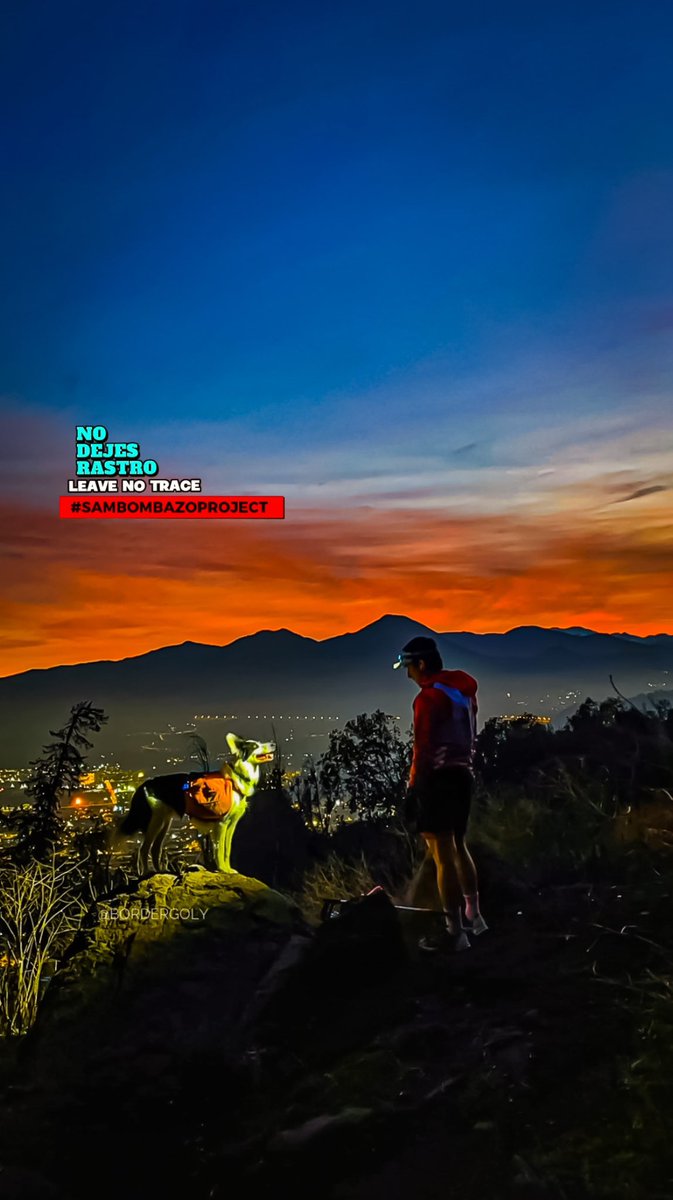 golomalo's tweet image. 📊 #sambombazoproject 2023
🗓 Semana 26/52
🐕‍🦺🏃🏻‍♂️ 57,4 Km #plogging
🧤 390 litros recogidos 📲 #CSFN 
🍾 188 botellas 
🥫107 latas
🍫62 paquetes snack 
😷 11 mascarillas 
🧃 6 tetra pack 
🥄 1 cuchara 
👟 1 zapatilla 
#nodejesrastro
#chilecircularsinbasura ♻️