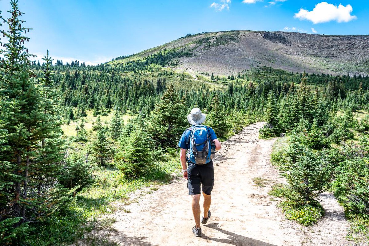 hikebiketravel's tweet photo. One of the best hikes in Jasper is the trail up Bald Hills offering up great views of Maligne Lake https://t.co/M6xOP7T9C7
#hiking #exploreJasper https://t.co/9lRkbjAiV3