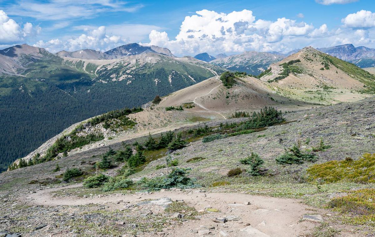 hikebiketravel's tweet photo. One of the best hikes in Jasper is the trail up Bald Hills offering up great views of Maligne Lake https://t.co/M6xOP7T9C7
#hiking #exploreJasper https://t.co/9lRkbjAiV3