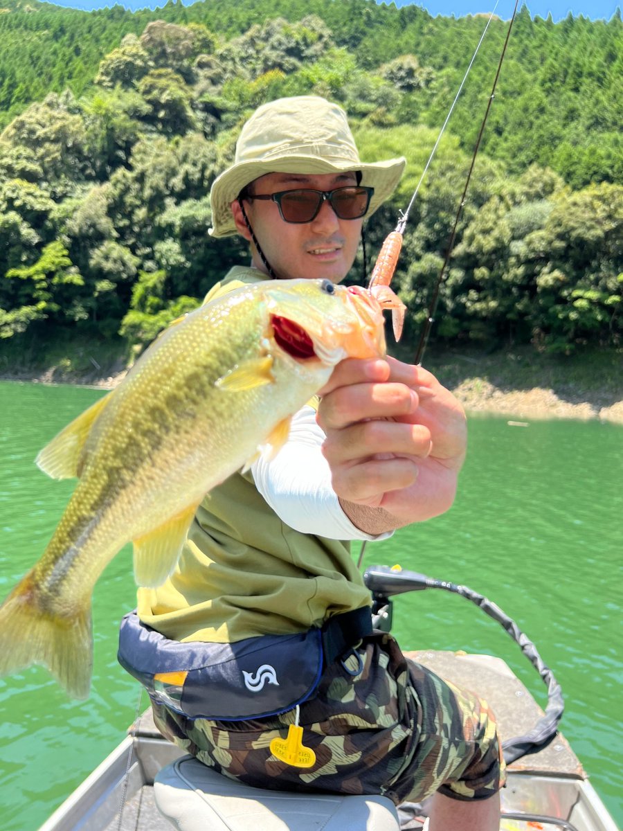 26yukimay27's tweet photo. バス釣ったの何年ぶりだろうか,,,
釣りし始めはバスだった
いつのまにかメイン海になっちゃったけどまたバス再燃しそう☺️
ダウスイにダウスイと同じサイズ間のバス釣れたことに驚きw
#釣り #バスフィッシング #jackall #DBUMAfree #SPYtail #ダウズスイマー180 https://t.co/IOPnVapZ6k