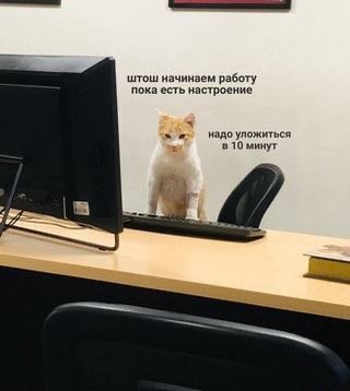 revirhan's tweet photo. пять дней до отпуска https://t.co/ht9rIdey9e
