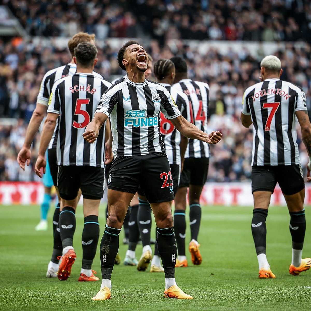StoolSoccer's tweet photo. Newcastle will WIN every Champions League game at St. James Park next season.

Bookmark this tweet. 📚 https://t.co/aAX2N53WVJ