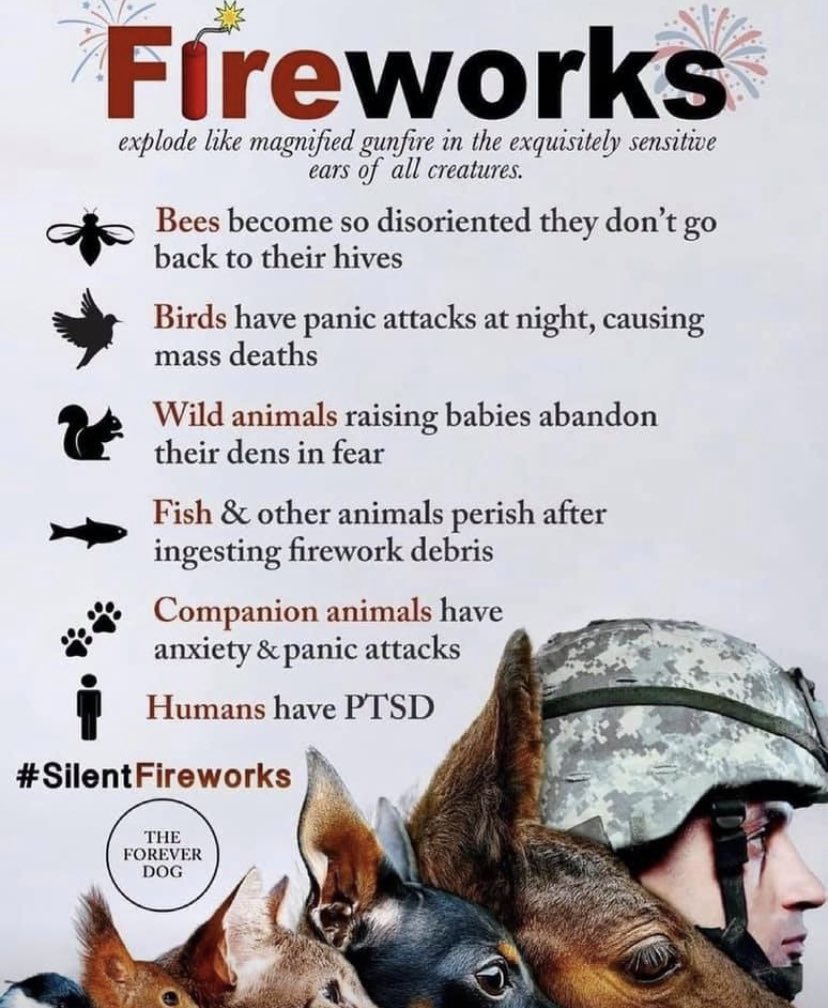 And this is how we treat our “friends”? 🐝🕊️🪿🦇🐿️🐟🐕🐈👩🏽‍🚀