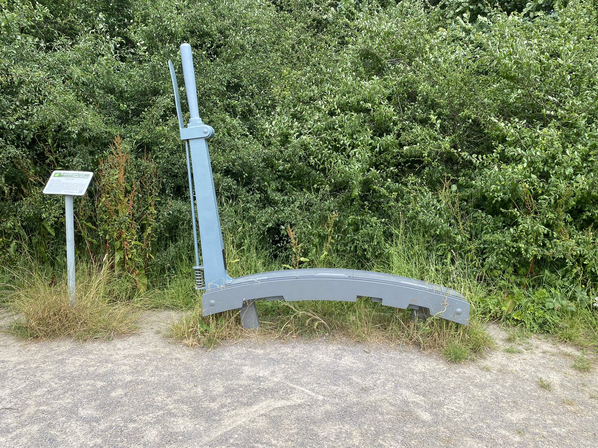 FOBHGCN's tweet photo. NIGHTINGALE MEADOWS 

Part of the Green Circle we don’t talk about much on here. Just down from Batchelor’s Farm, quite a bit to see!

Saxby’s Halt, part of the  Public Art Trail; pond with a bench to sit and rest; old oak tree; wild carrot and pyramidal orchids in the verges. https://t.co/tP3nt3T237