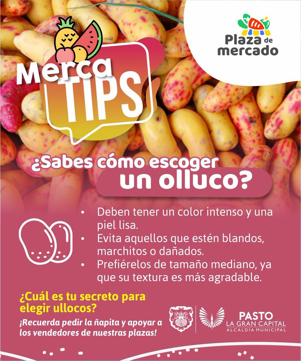 alcaldiapasto's tweet photo. 🍠 ¡Aprende con nuestros mercatips!
Conoce los secretos de las frutas y verduras para que puedas mercar productos de calidad.
Recuerda pedir la ñapita y apoyar a los vendedores de nuestras plazas.
#Mercatips
#PlazasDeMercado https://t.co/H4l3G8e1U1