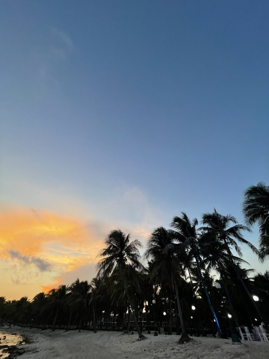 AlfrdoVazquez's tweet photo. Trabajando en el paraíso … 🏝️ https://t.co/97SV6Zd6yu