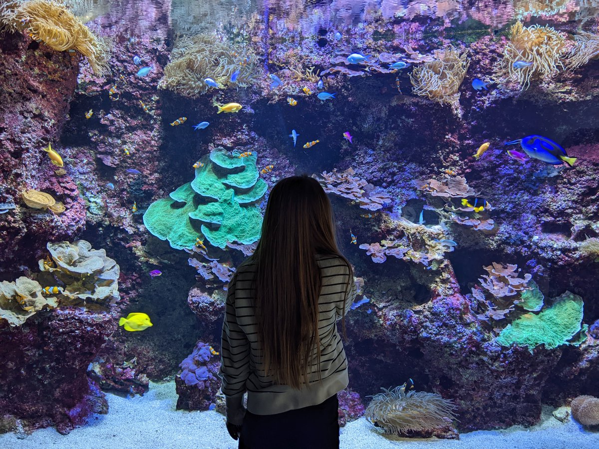 VisitBasqueCtry's tweet image. The Basque Country is the ideal destination for family holidays because of the wide range of options and activities aimed at kids👶🏼 

The San Sebatián aquarium🐠, the salt valley of Añana🧂, the Bizkaia bridge 🌉and lots more. 

👉🏼ow.ly/wcCG50OXPfK

#visitbasquecountry