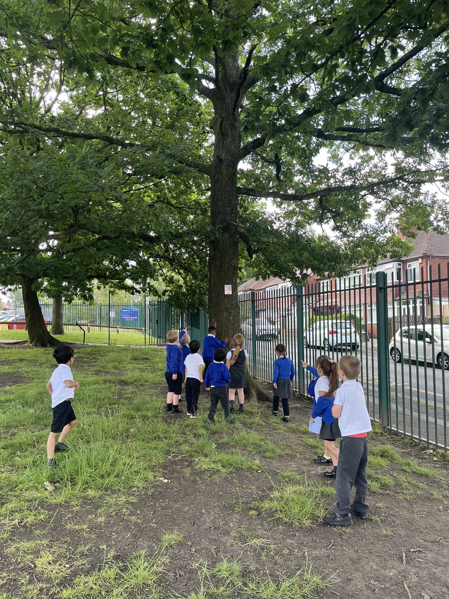 OABroadoak's tweet photo. The Reception children enjoyed their first experience of orienteering. They listened carefully, followed instructions, recited letters and numbers and read simple sentences. #forestschool #eyfs https://t.co/jT4r4NNauQ