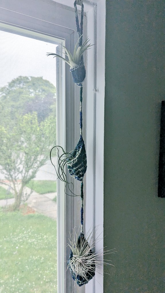 MegaaaGrateful's tweet photo. It's cool when you make someone a gift and they show how grateful they are by immediately hanging it up and loving it!! #justkeepknitting #knit #airplant https://t.co/bQmp9WSzxX