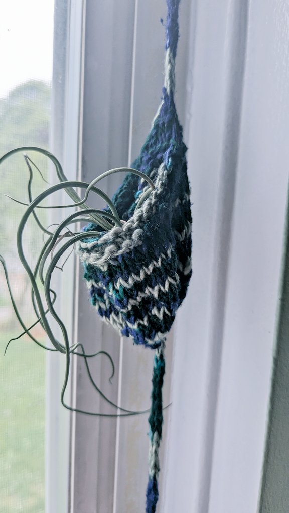 MegaaaGrateful's tweet photo. It's cool when you make someone a gift and they show how grateful they are by immediately hanging it up and loving it!! #justkeepknitting #knit #airplant https://t.co/bQmp9WSzxX