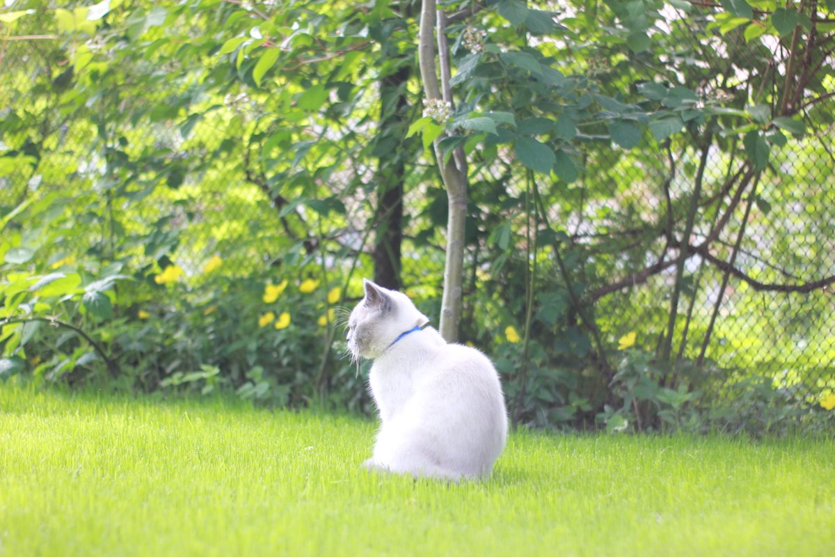 Woodengift1's tweet image. I love Saturday 🥰 Because on Saturdays we build our cozy house! I will always remember the moment when my girls and I had to run away from my house. I am glad every moment that I was able to return so quickly. Thanks to our soldiers, we can be home!💙
#lifeinUkraine #truevalues