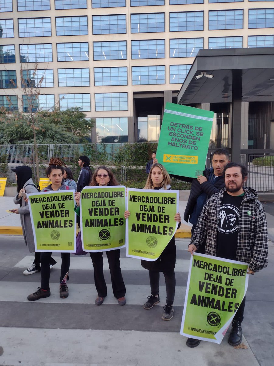 Ayer en la protesta en la puerta de las oficinas de Mercado libre,sumate a la campaña #xunmercadosinanimales 
#lareveldia #sumateaactivar #veganismo