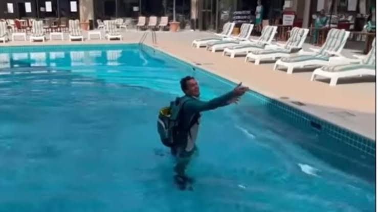 incredible scenes, Alex Carey in a pool of English tears