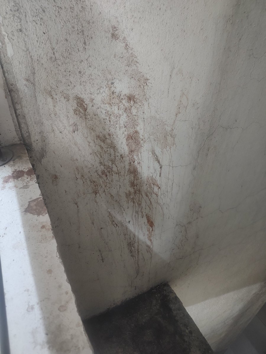 nil_gholap10's tweet photo. Welcome To Lodha Crown Taloja
Is it Lodha Quality Homes?
@LODHA @lodhapalava3 @PalavaTheCity @mangallodha https://t.co/cFCLUYlFQq