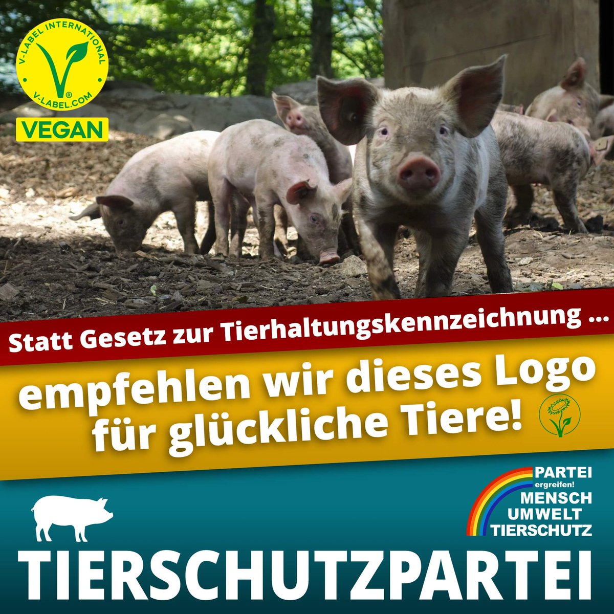 Liebe Fleischesser:innen, liebe #vegetarisch lebenden Menschen, liebe Tiere, liebe Umweltschützer:innen, wir haben leider schlechte Nachrichten für euch: Ihr werdet immer noch verarscht!

Wieso, weshalb, warum: tierschutzpartei.de/tierhaltungske…

#govegan #vegan #MitgefühlWählen #Tierrechte