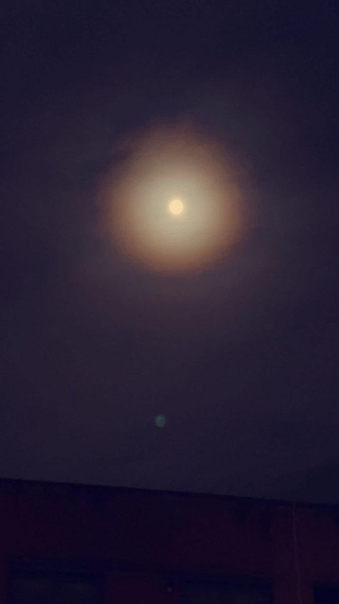 Duygu sömürüsü yapan ! Bütün insanları Lanetliyorum ☠️😂