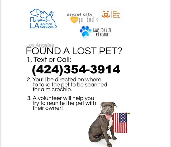 barkflight's tweet photo. Find a lost pet this weekend in Los Angeles? 

Call or text (424) 354-3914 to find out where to take the pet to be scanned for a microchip. You will work with a volunteer in an effort to reunite the pet with its owner. https://t.co/vDAA1Sqt5o