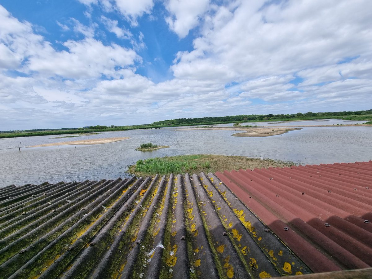 Just fantastic to be back at RSPB Minsmere with @mikes_nature  watching some cracking bird life on the scrapes including Spoonbill and Little Tern.