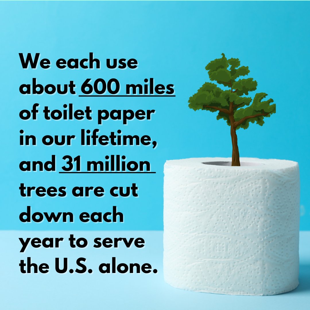 Greenscore - A Sustainability Podcast tweet media